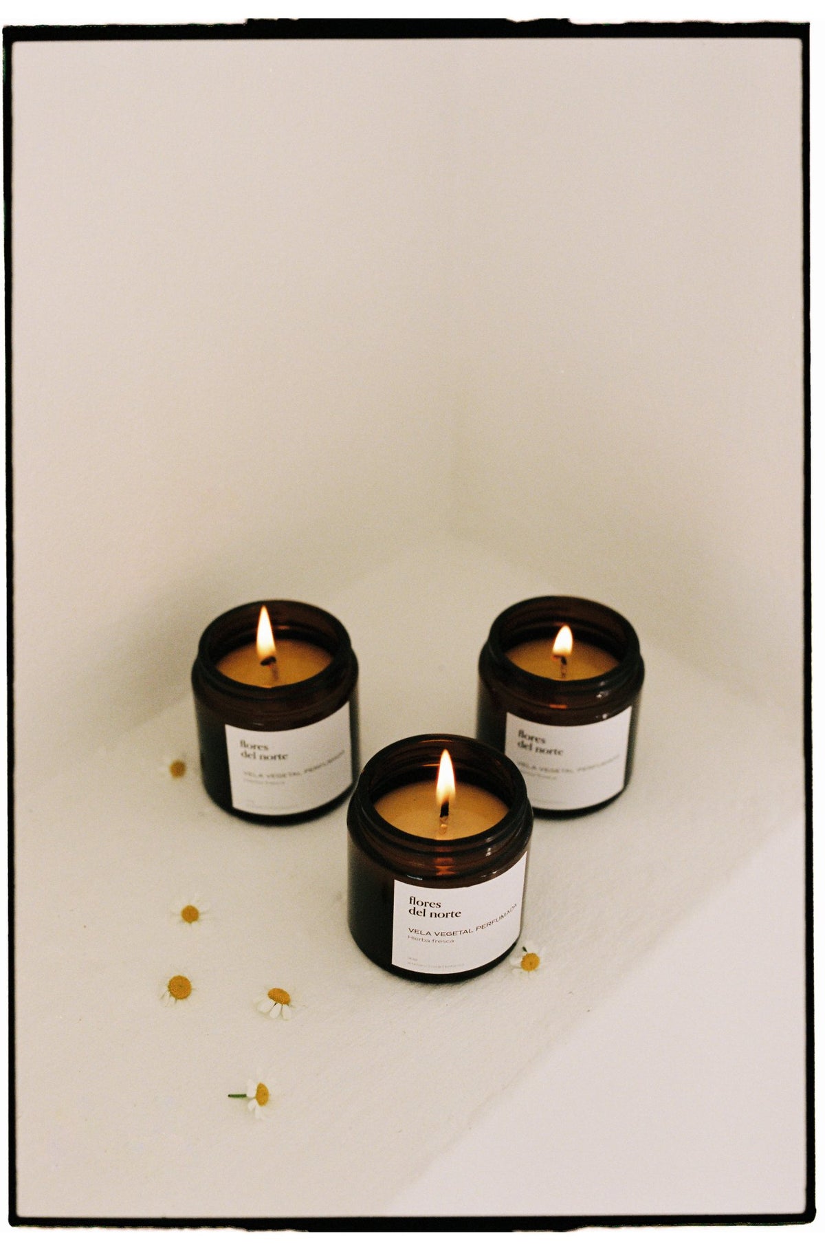 Vegetable candle Fresh herb
