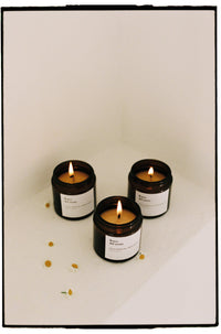 Vegetable candle Fresh herb