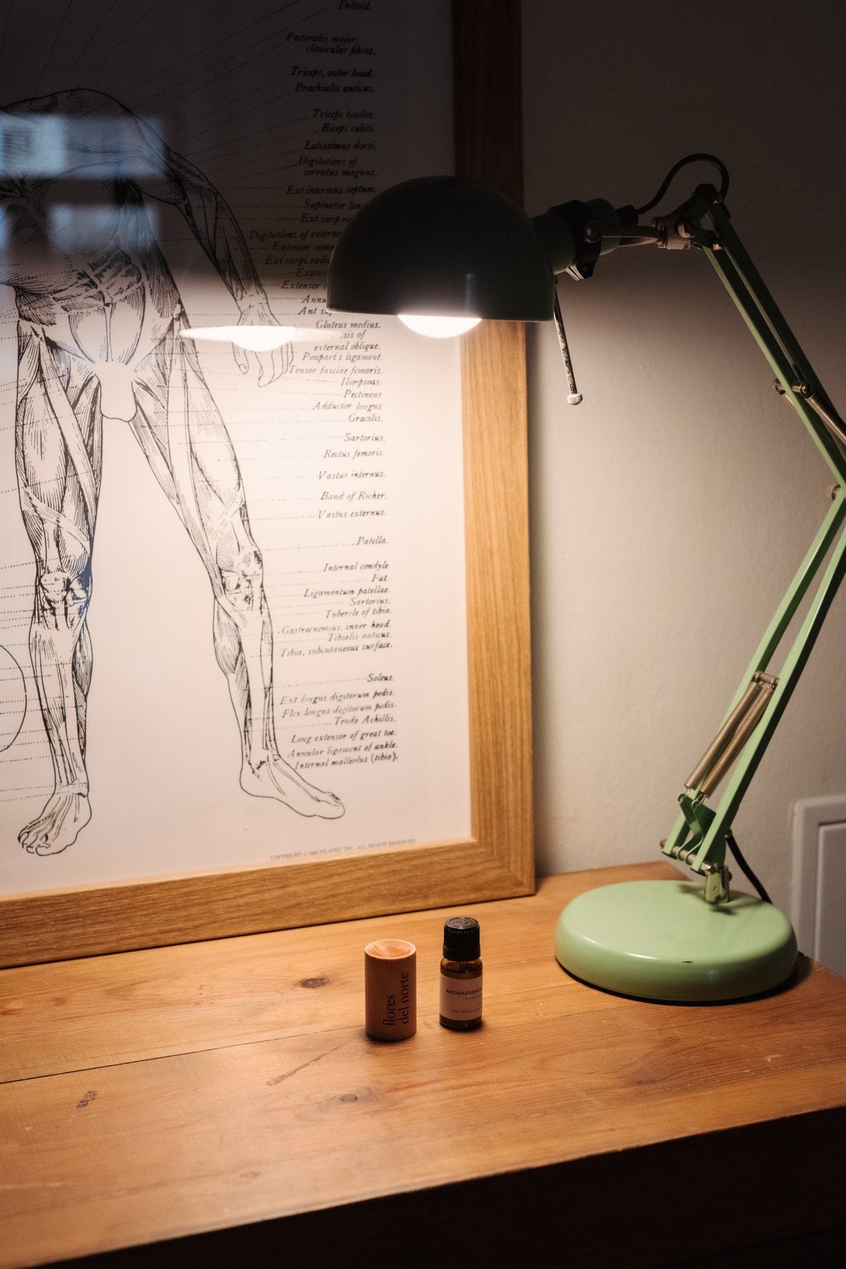Aromaesencia Concentración - Nasei