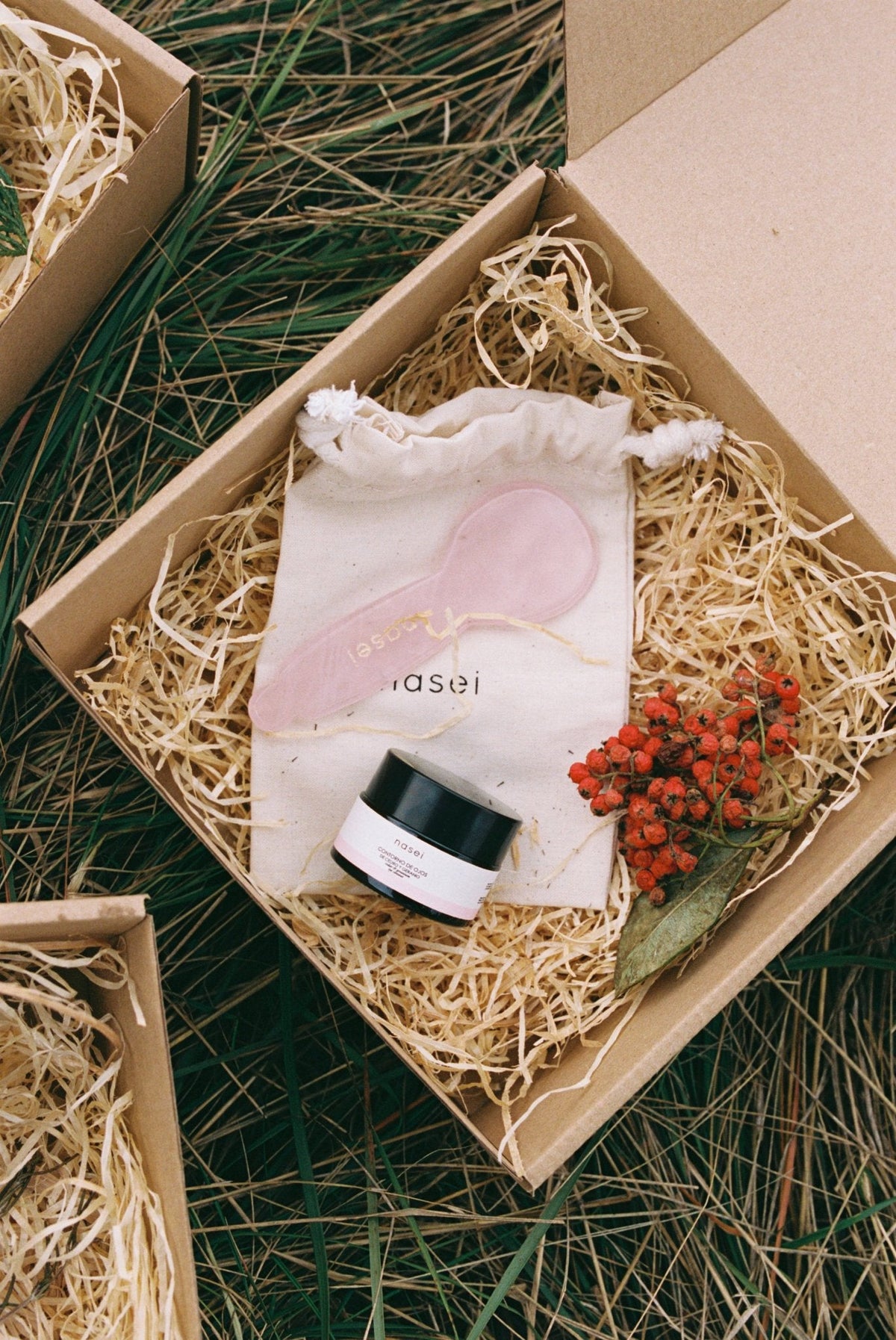 Colección Mirada Botánica – Dúo Nutre y Drena - Nasei