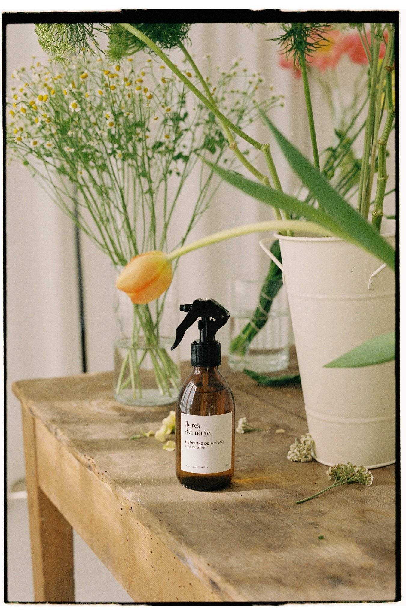 Perfume de hogar Rosa silvestre / recarga - Nasei