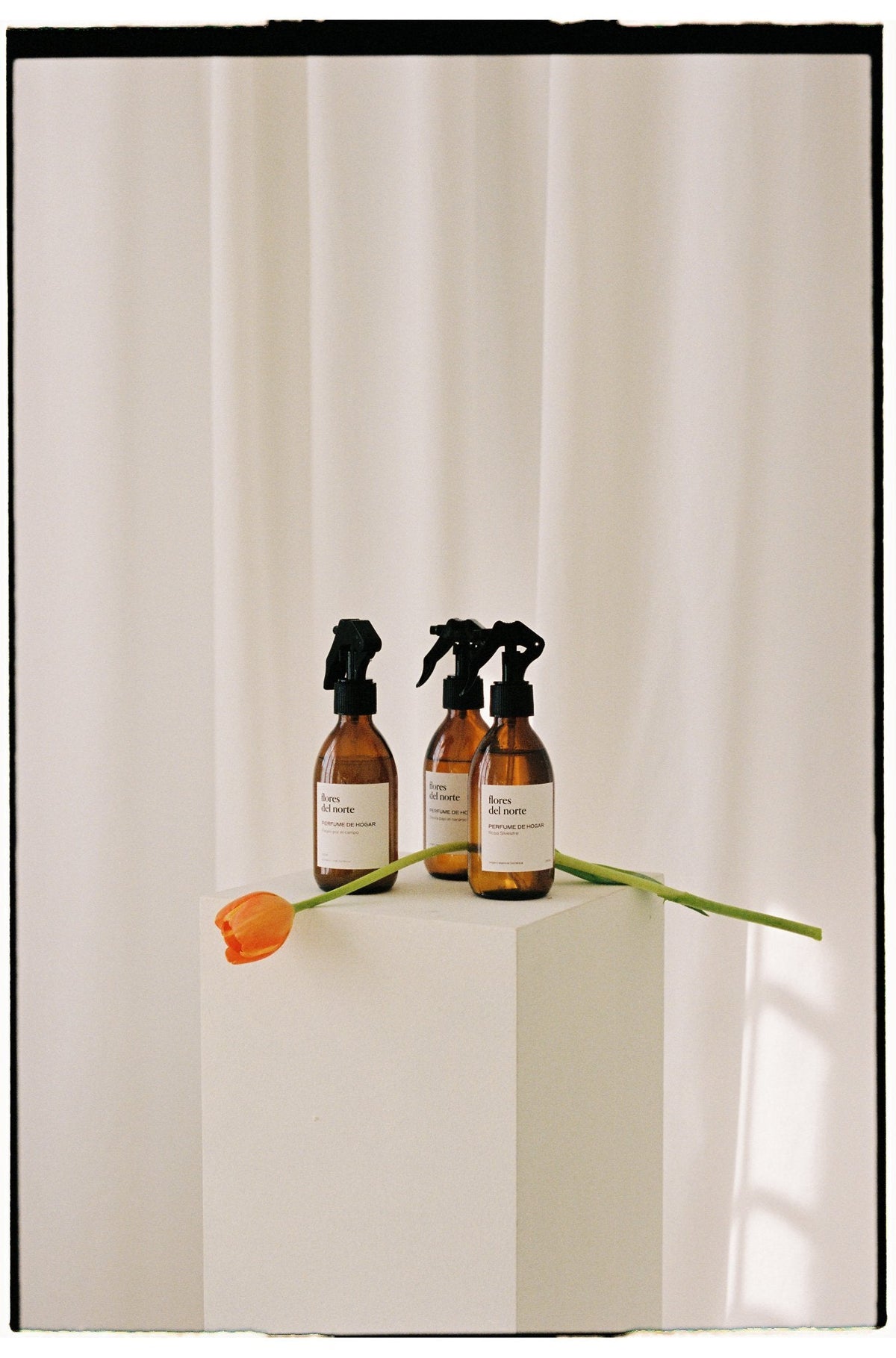 Perfume de hogar Siesta bajo el naranjo / recarga - Nasei