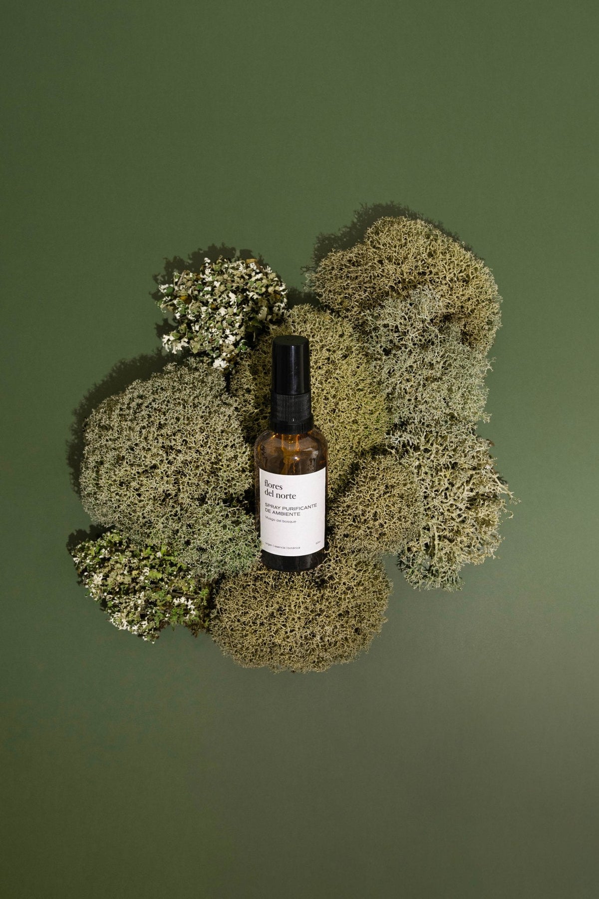 Purificante de ambiente Musgo del bosque 50ml - Nasei