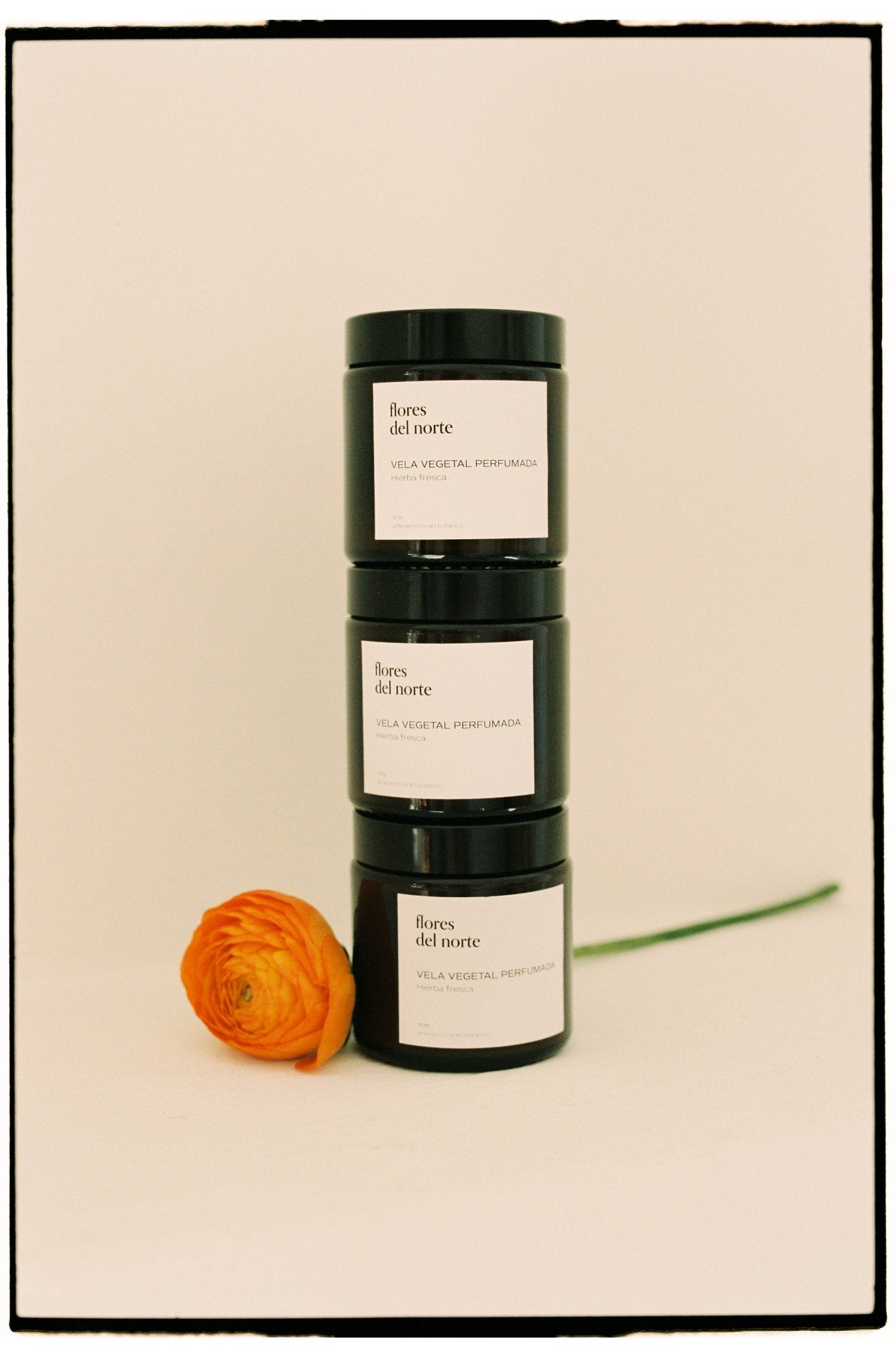 Vela vegetal Hierba fresca - Nasei